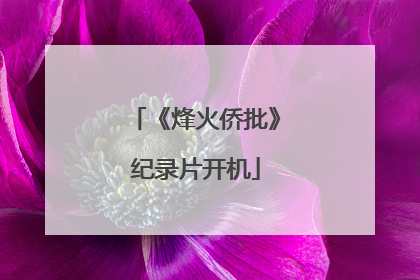 《烽火侨批》纪录片开机