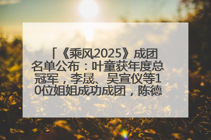 《乘风2025》成团名单公布：叶童获年度总冠军，李晟、吴宣仪等10位姐姐成功成团，陈德容获年度高光人物