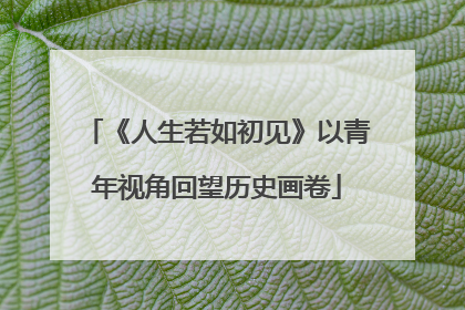 《人生若如初见》以青年视角回望历史画卷