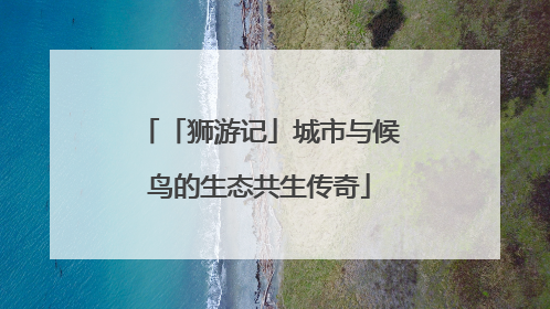 「狮游记」城市与候鸟的生态共生传奇