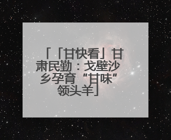 「甘快看」甘肃民勤：戈壁沙乡孕育“甘味”领头羊