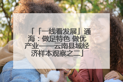 「一线看发展」通海：做足特色 做优产业——云南县域经济样本观察之二