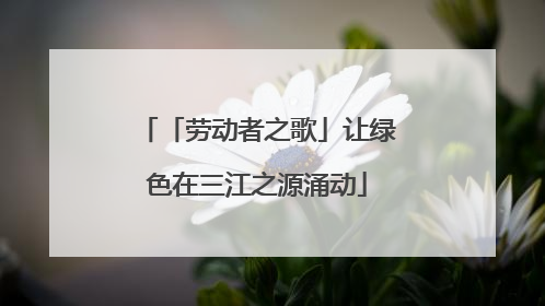 「劳动者之歌」让绿色在三江之源涌动