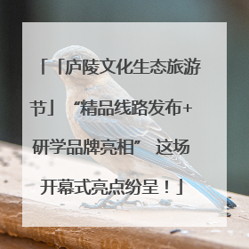 「庐陵文化生态旅游节」“精品线路发布+研学品牌亮相” 这场开幕式亮点纷呈！