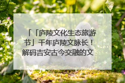 「庐陵文化生态旅游节」千年庐陵文脉长！解码吉安古今交融的文化图谱（图）