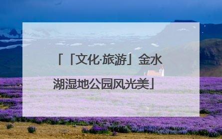 「文化·旅游」金水湖湿地公园风光美