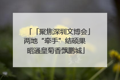 「聚焦深圳文博会」两地“牵手”结硕果 昭通皇菊香飘鹏城