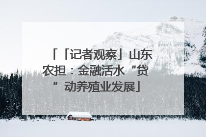 「记者观察」山东农担：金融活水“贷”动养殖业发展