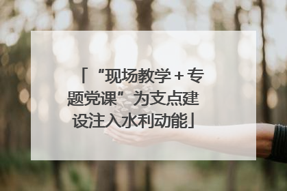 “现场教学＋专题党课”为支点建设注入水利动能