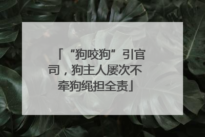 “狗咬狗”引官司，狗主人屡次不牵狗绳担全责