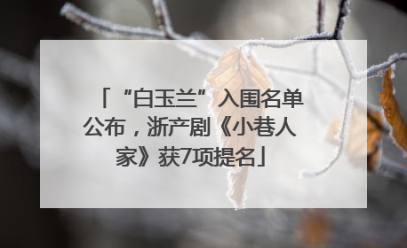 “白玉兰”入围名单公布，浙产剧《小巷人家》获7项提名