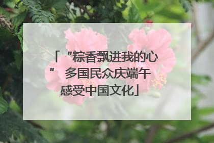 “粽香飘进我的心” 多国民众庆端午感受中国文化