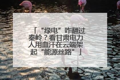 “绿电”咋翻过秦岭？看甘肃电力人用血汗在云端架起“能源丝路”