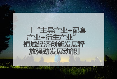 “主导产业+配套产业+衍生产业” 镇域经济创新发展释放强劲发展动能