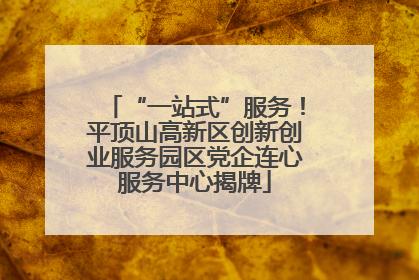 “一站式”服务！平顶山高新区创新创业服务园区党企连心服务中心揭牌