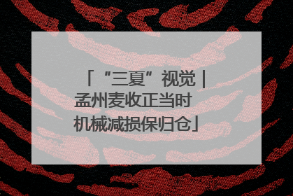 “三夏”视觉｜孟州麦收正当时 机械减损保归仓
