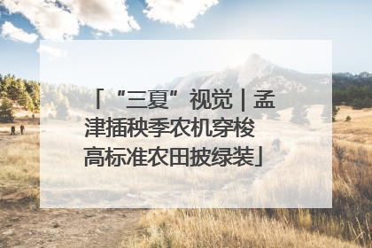 “三夏”视觉｜孟津插秧季农机穿梭 高标准农田披绿装
