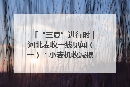 “三夏”进行时｜河北麦收一线见闻（一）：小麦机收减损“竞技” 农机高手麦田“过招”
