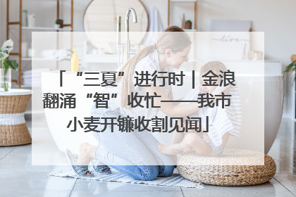 “三夏”进行时｜金浪翻涌“智”收忙——我市小麦开镰收割见闻