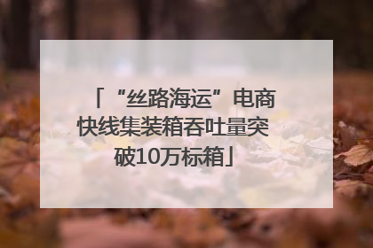 “丝路海运”电商快线集装箱吞吐量突破10万标箱