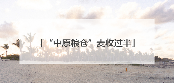 “中原粮仓”麦收过半
