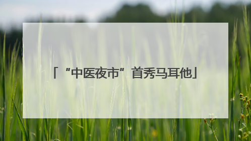 “中医夜市”首秀马耳他