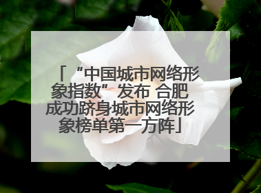 “中国城市网络形象指数”发布 合肥成功跻身城市网络形象榜单第一方阵