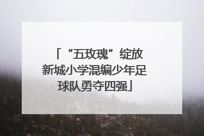 “五玫瑰”绽放 新城小学混编少年足球队勇夺四强