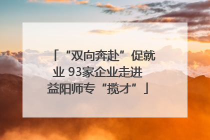 “双向奔赴”促就业 93家企业走进益阳师专“揽才”