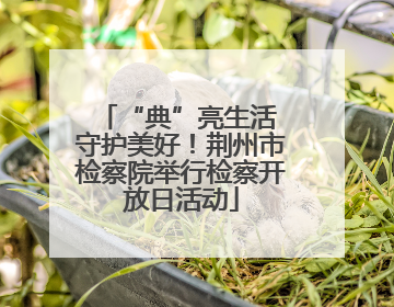 “典”亮生活 守护美好！荆州市检察院举行检察开放日活动