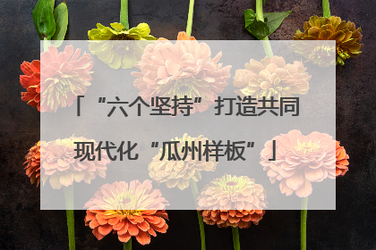“六个坚持”打造共同现代化“瓜州样板”