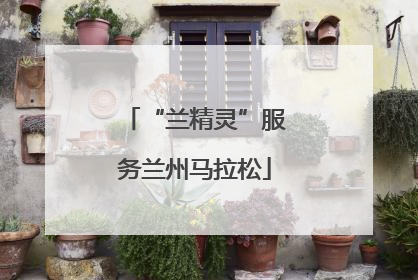 “兰精灵”服务兰州马拉松