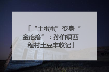 “土蛋蛋”变身“金疙瘩”：孙伯镇西程村土豆丰收记