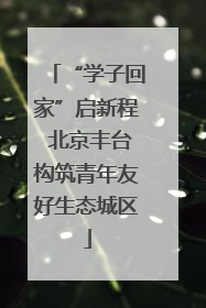 “学子回家”启新程 北京丰台构筑青年友好生态城区