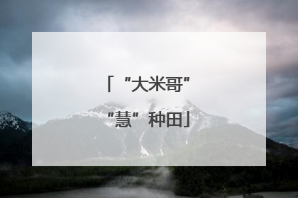 “大米哥”“慧”种田