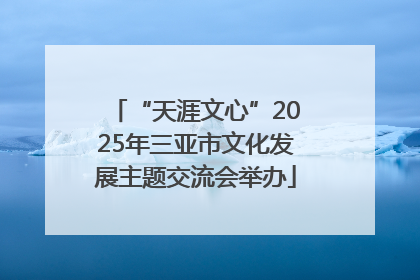 “天涯文心”2025年三亚市文化发展主题交流会举办