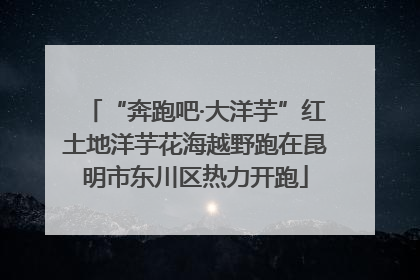 “奔跑吧·大洋芋”红土地洋芋花海越野跑在昆明市东川区热力开跑
