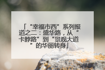 “幸福市西”系列报道之二：盛华路，从“卡脖路”到“景观大道”的华丽转身