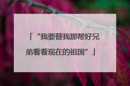 “我要替我那帮好兄弟看看现在的祖国”