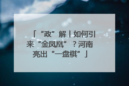 “政”解丨如何引来“金凤凰”？河南亮出“一盘棋”