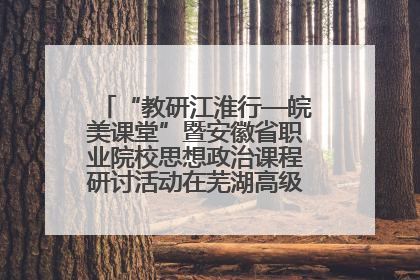 “教研江淮行—皖美课堂”暨安徽省职业院校思想政治课程研讨活动在芜湖高级职业技术学校举行