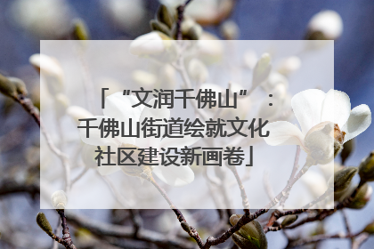 “文润千佛山”：千佛山街道绘就文化社区建设新画卷