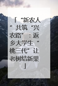 “新农人”共筑“兴农路”：返乡大学生“桃三代”让老树结新果