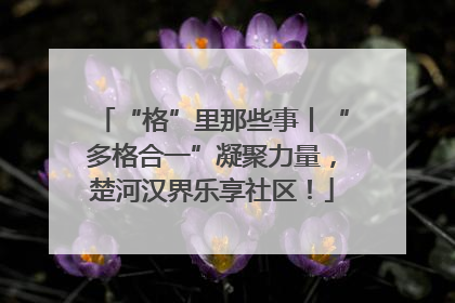 “格”里那些事丨“多格合一”凝聚力量，楚河汉界乐享社区！