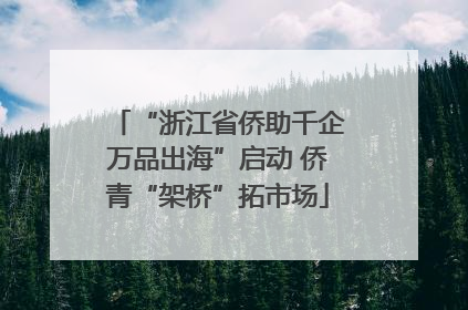 “浙江省侨助千企万品出海”启动 侨青“架桥”拓市场