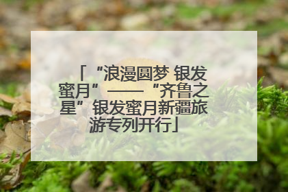 “浪漫圆梦 银发蜜月”——“齐鲁之星”银发蜜月新疆旅游专列开行
