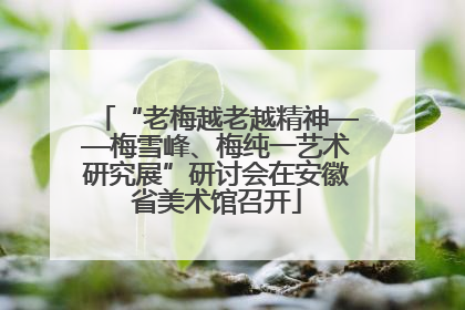 “老梅越老越精神——梅雪峰、梅纯一艺术研究展”研讨会在安徽省美术馆召开