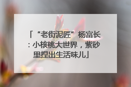 “老街泥匠”杨富长：小核桃大世界，紫砂里捏出生活味儿