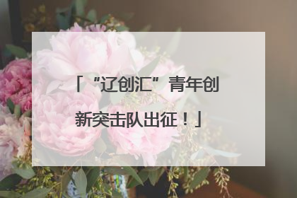 “辽创汇”青年创新突击队出征！