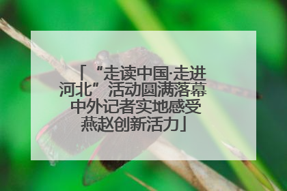 “走读中国·走进河北”活动圆满落幕 中外记者实地感受燕赵创新活力